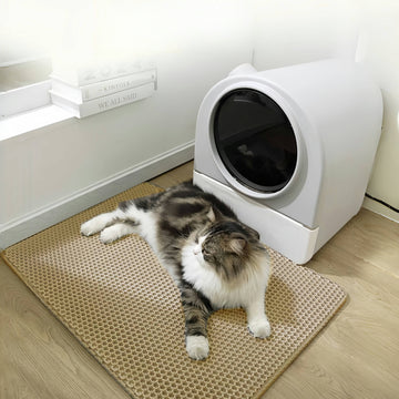 CleanPaw EasyMat
