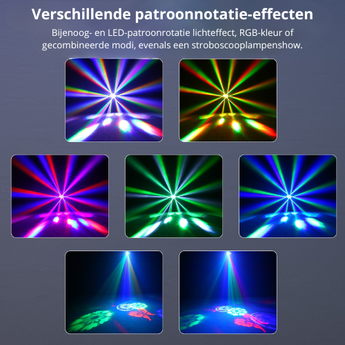 6-1 party licht